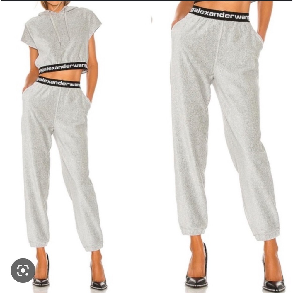 Alexander wang corduroy hoodie and sweatpants set